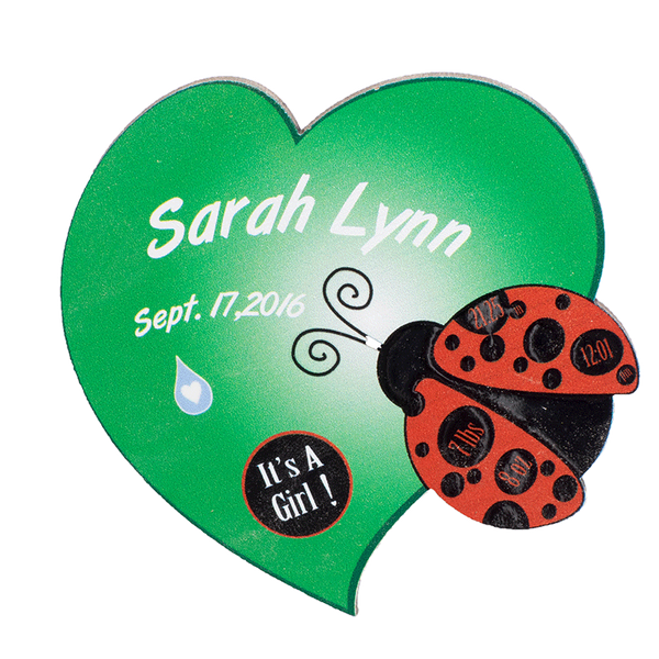Ladybug Magnet