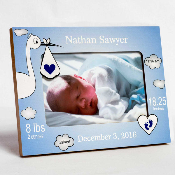 Stork in Flight - Boy